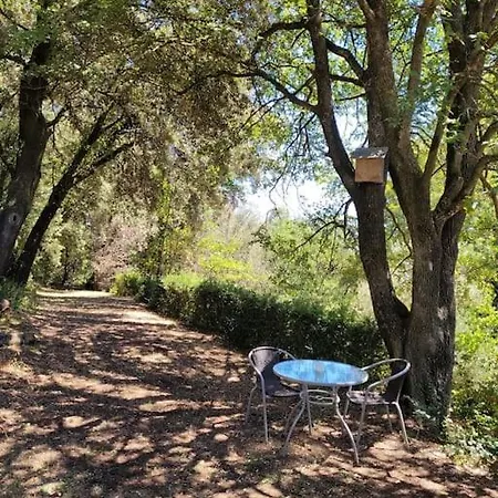 Can Mallorca Санта-Пау